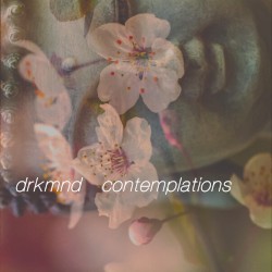 contemplations