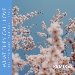 What They Call Love (Remixes)
