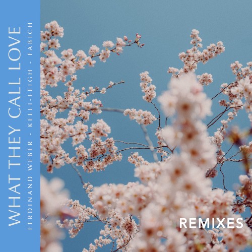 What They Call Love (Remixes)