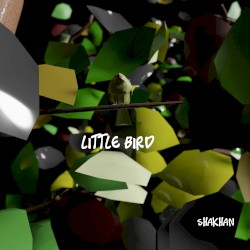 Little Bird