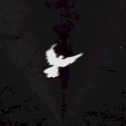 Christian Rapper