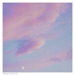 DEMI-LUNE