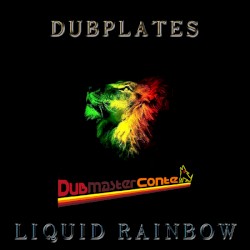 Dubmaster Conte meets Liquid Rainbow