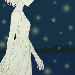 蛍