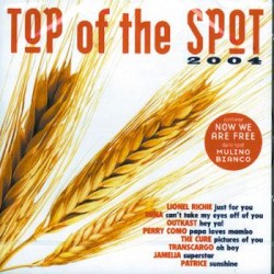 Top of the Spot 2004
