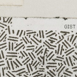 Gist