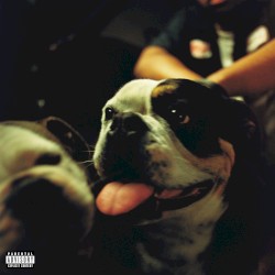 BULLDAWG
