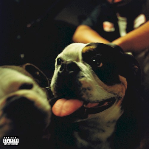 BULLDAWG