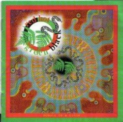 Red Hot Green Black