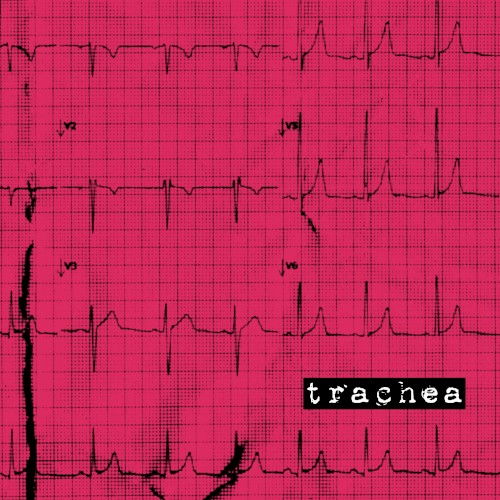 Trachea