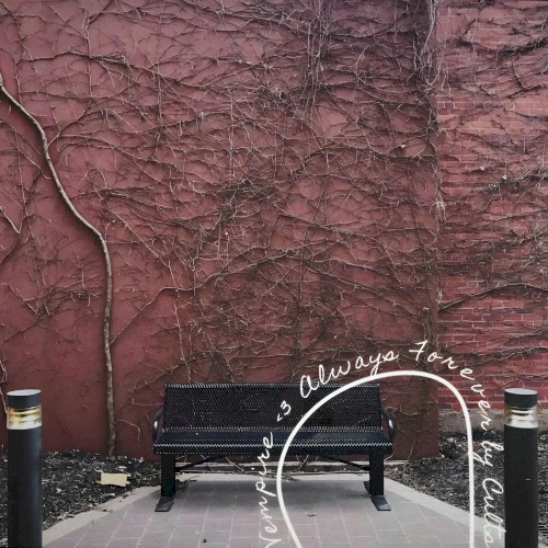 Always Forever By Cults