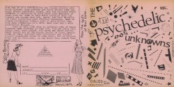 The Psychedelic Unknowns Vol. 2