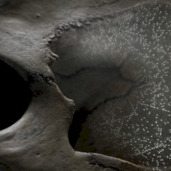 New Maps of Hell