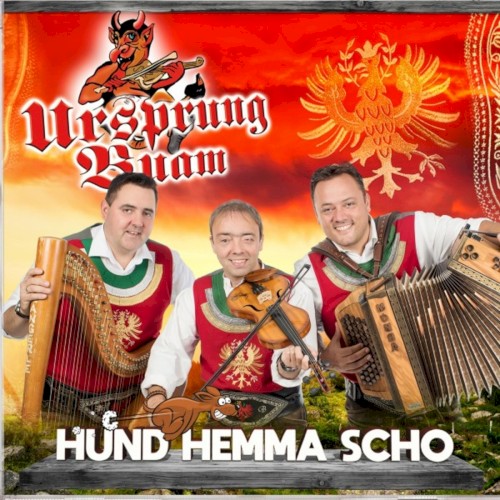 Hund Hemma Scho