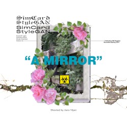 'A Mirror"