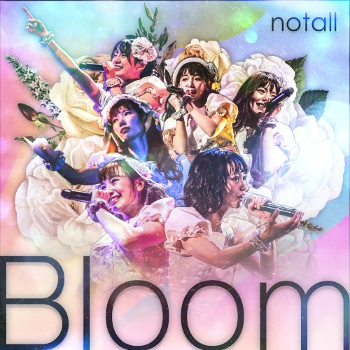 Bloom