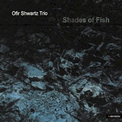 Shades of Fish