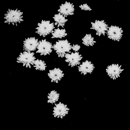 Winter Waltz