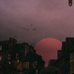 Twilight