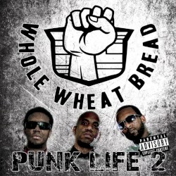 Punk Life 2
