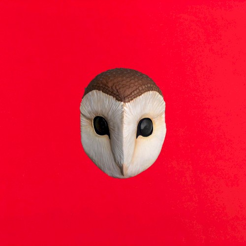 The Owl Song