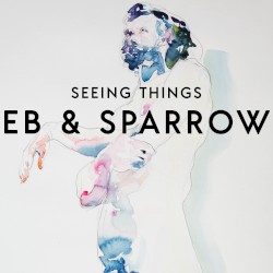 Seeing Things
