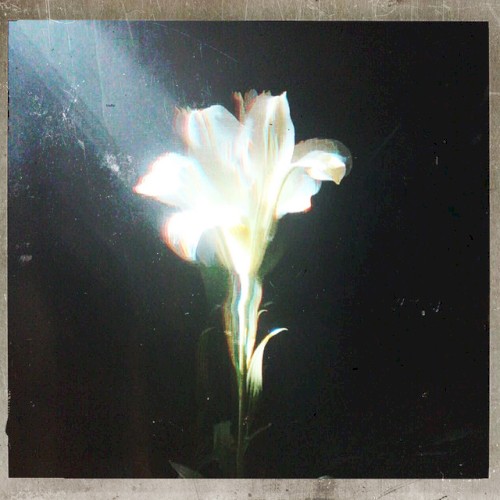 Light That Leads Me