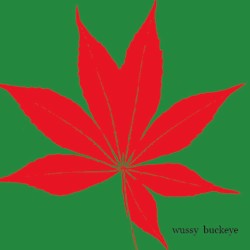 Buckeye