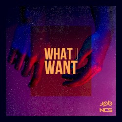 What I Want