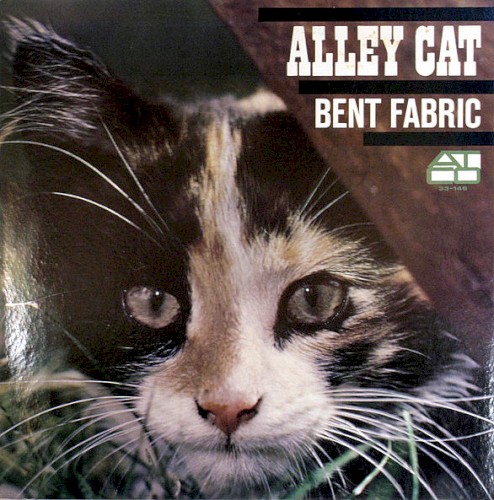 Alley Cat