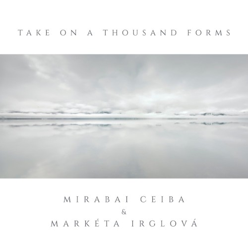 Take On a Thousand Forms