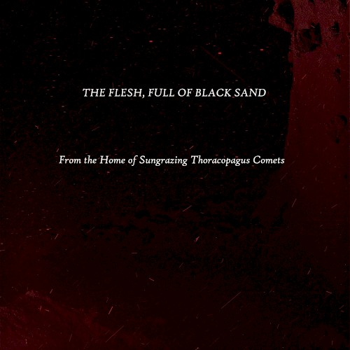 From the Home of Sungrazing Thoracopagus Comets