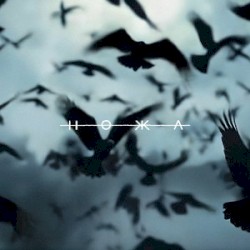 Blackbird