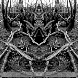 Distortion and Dissonance: Australian Hardcore Sampler