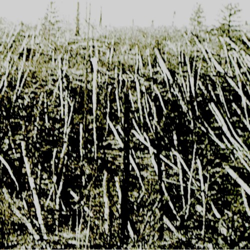 Próchno