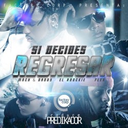 Si decides regresar