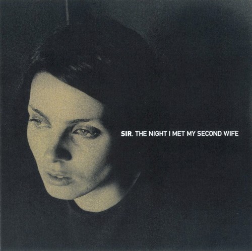 The Night I Met My Second Wife