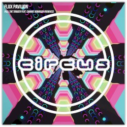 Pull the Trigger (remixes)