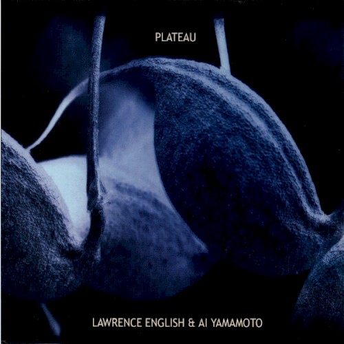 Plateau