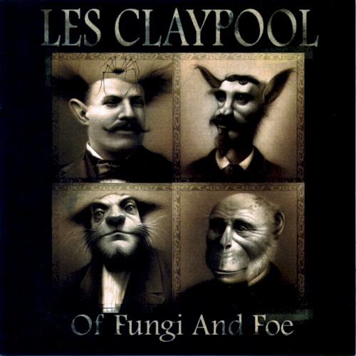 Of Fungi and Foe