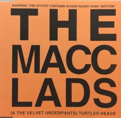 Turtles Heads
