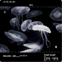 Mollusk Ah1