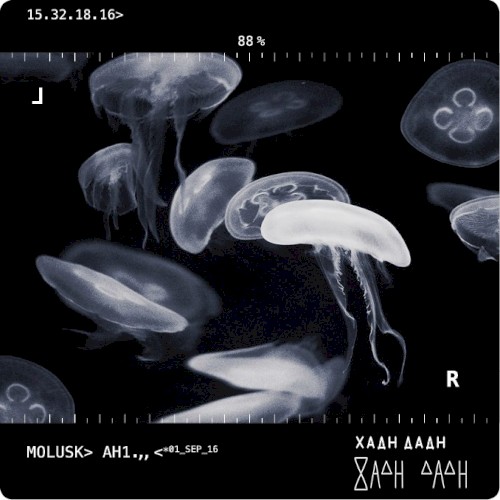 Mollusk Ah1
