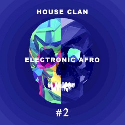 Electronic Afro # 2
