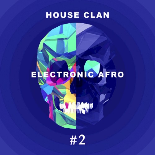 Electronic Afro # 2