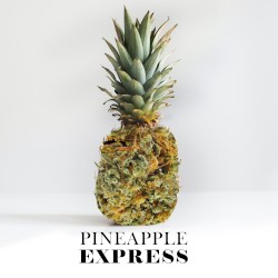 Pineapple Express