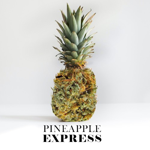 Pineapple Express