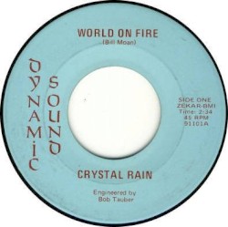 World On Fire