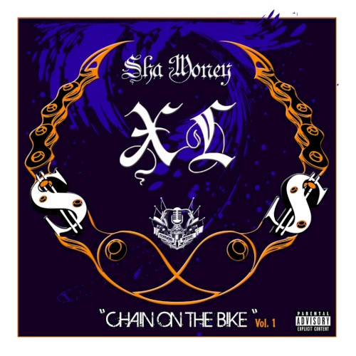 Chain on the Bike