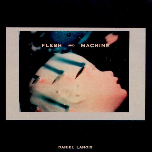 Flesh and Machine